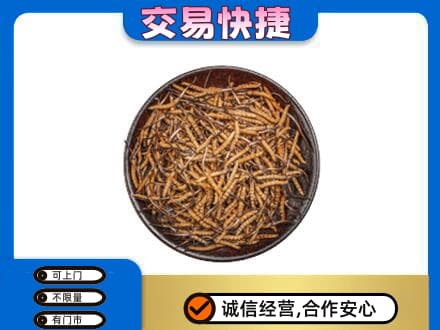 海西茫崖市回收散虫草